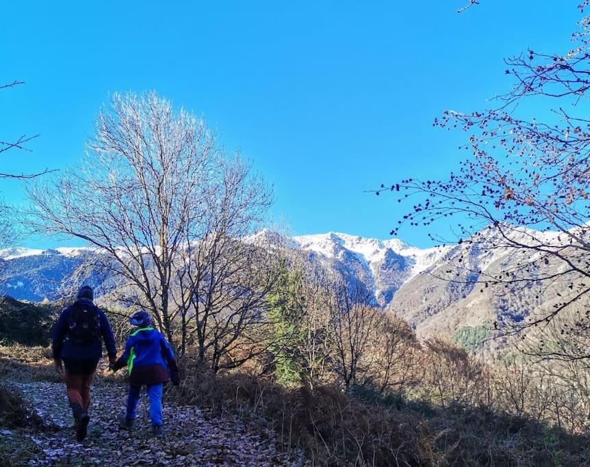 Maison 13 Pers A 10Mn De Luchon Cazaux-Layrisse 外观 照片