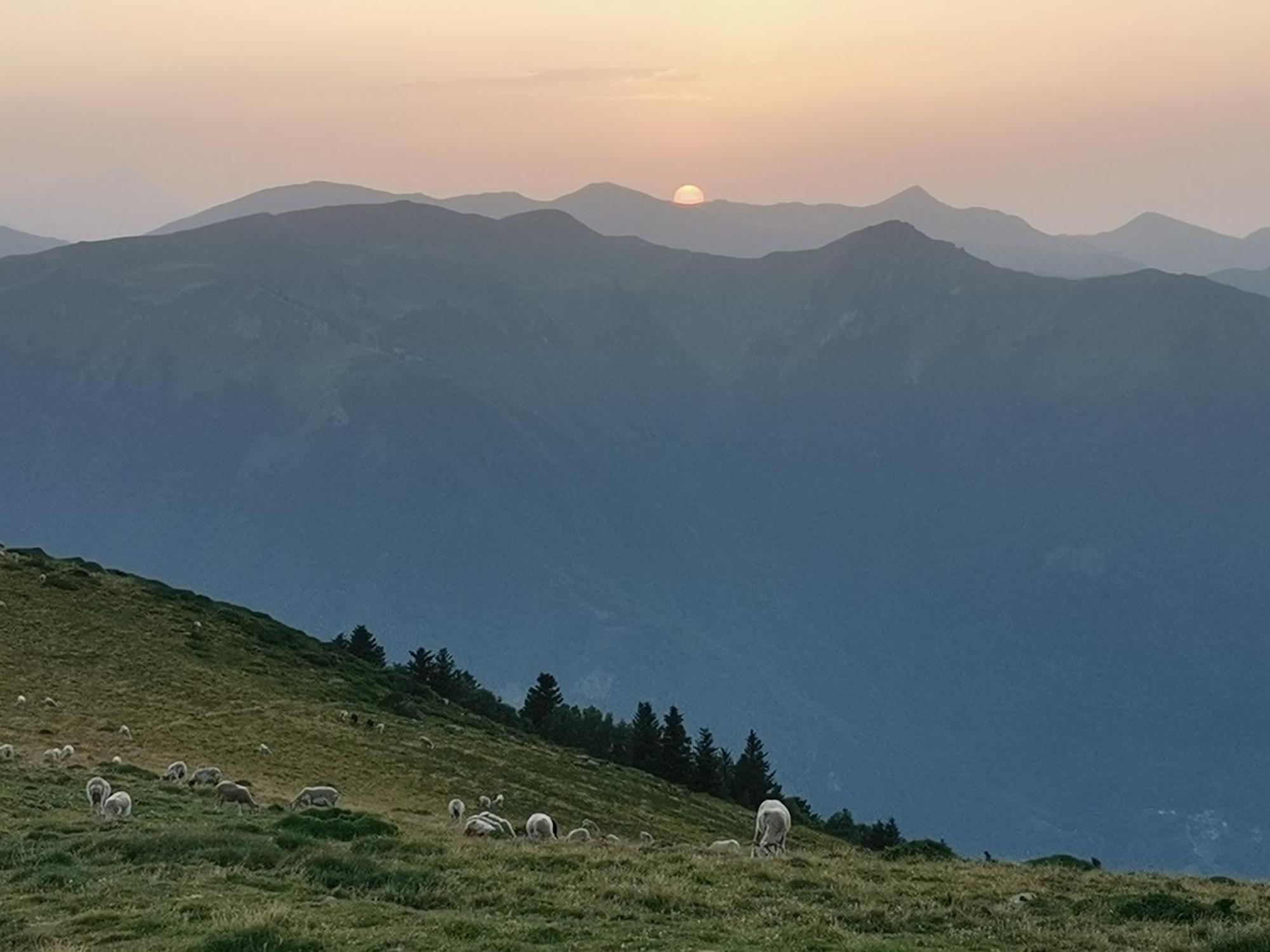 Maison 13 Pers A 10Mn De Luchon Cazaux-Layrisse 外观 照片